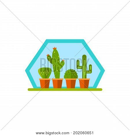 Vector icon of row of potted cactuses. Geometric florarium, flower shop, horticulture. House plants concept. Can be used for topics like hobby, botany, leisure