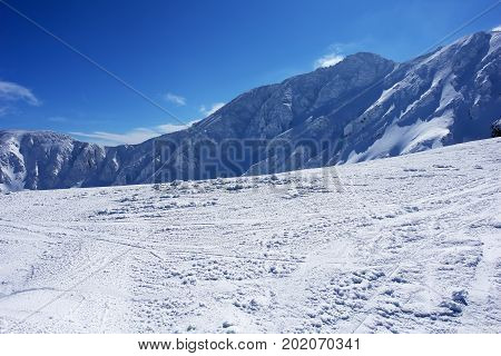 The ski on a sunny day in the mountains in the Low Tatras Jasna resort.