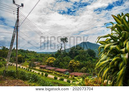 The road to the local village, the mountains in the distance. The landscape on the island of Borneo. Sabah Malaysia.