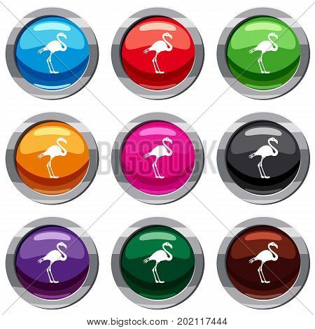 Flamingo set icon isolated on white. 9 icon collection vector illustration