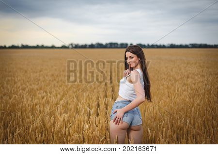 woman is walking in golden field of wheat or barley