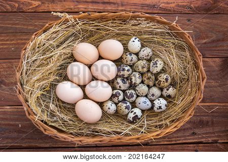 Quail and chicken eggs in the wicker basket with hay. Eco concept