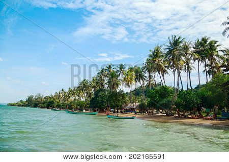travel seascape and nature concept - landscape of island with palm trees on sky background