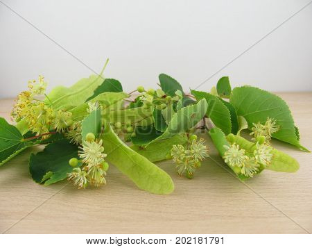 Fresh flowers from limewood on a wooden board