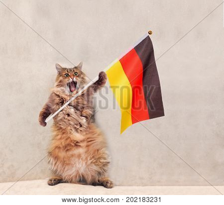 The Big Shaggy Cat Is Very Funny Standing.flag