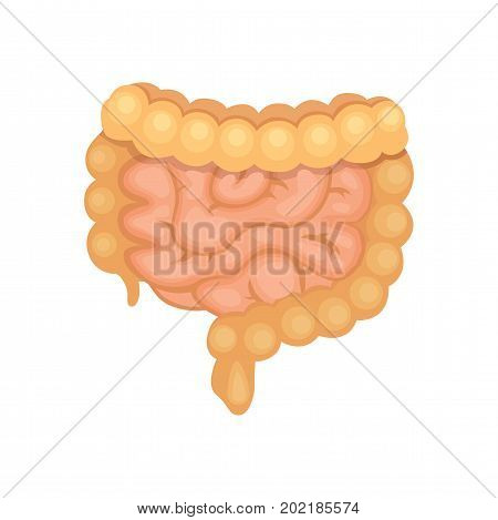 cartoon Illustration of Large and Small Intestine.