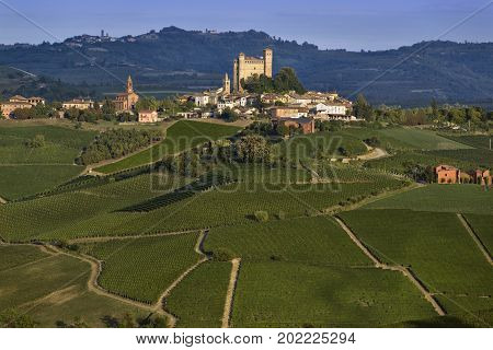 View over the village of Serralunga d'Alba and the wonderful hills with green vineyards of Langa Piedmont