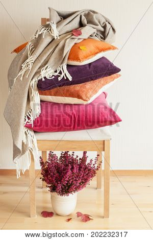 colorful cushions throw cozy home autumn mood flower leaf