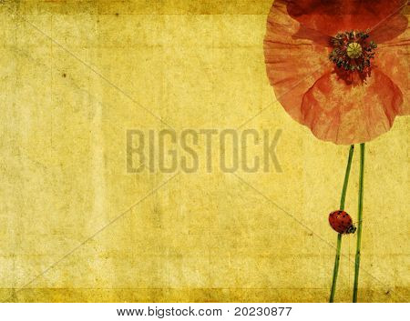 piękne tło obrazu z kwiatowymi elementami i biedronka. element projektu bardzo przydatne.