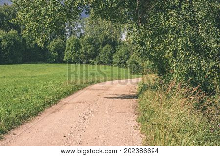Country Road In Forest - Vintage Effect