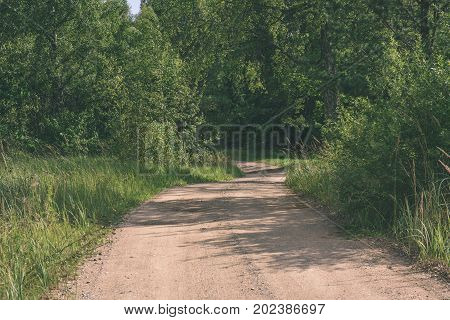 Country Road In Forest - Vintage Effect