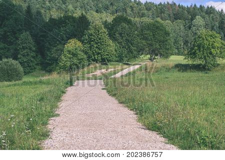 Country Road In Forest - Vintage Effect
