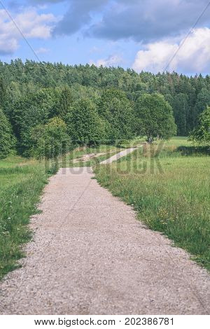Country Road In Forest - Vintage Effect