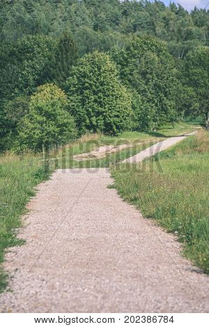 Country Road In Forest - Vintage Effect
