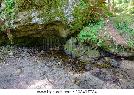 Crna spring in Logarska valley, Slovenia is a steady water stream in the woods and flows later as Savinja river