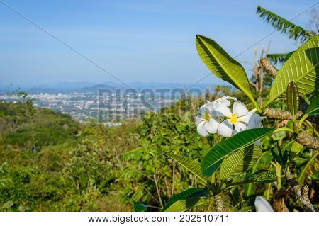 Panoramic View From The Hill Big Buddha In Phuket Thailand