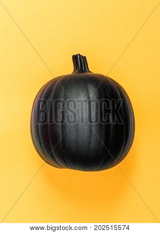 Halloweeen theme with a black pumpkin on a yellow background