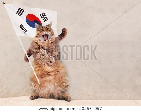 The Big Shaggy Cat Is Very Funny Standing.flag