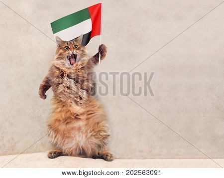 The Big Shaggy Cat Is Very Funny Standing.flag