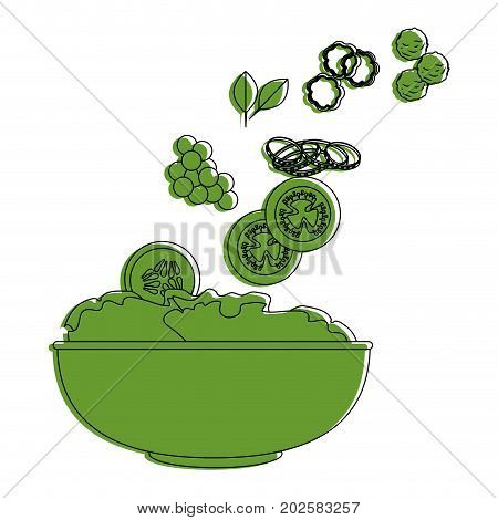 salad bowl gourmet icon vector illustratrion graphic design
