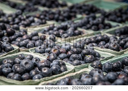 Fresh blueberries in baskets at Farmer's Market