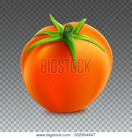 Red whole tomato isolated on transparent background, close-upwith a green tail. A fresh tomato cut out with the clipping path, 3D illustration.
