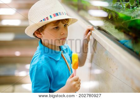 Little kid boy admire different reptiles and fishes in aquarium through the glass in zoo. Happy school child watching and observing animals and reptiles. Family leisure with kids