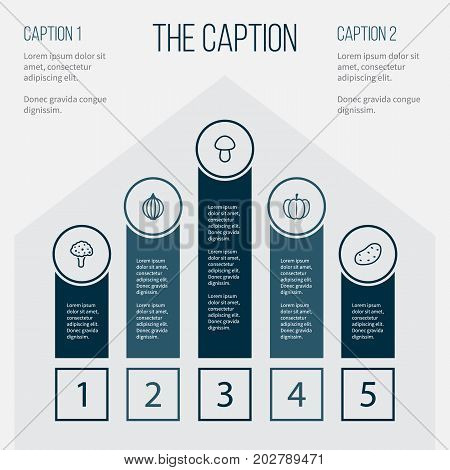 Outline Greens Set Of Potato, Ingredient, Lettuce And Other Vector Objects