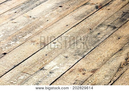 Wet Cottage Deck After Rain. Raindrops On Wooden Planks.