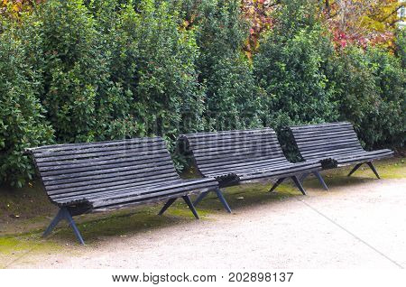 Three old wooden bench in the city park