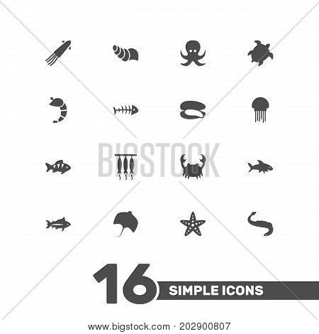 Collection Of Crustaceans, Fish, Stingray And Other Elements.  Set Of 16 Seafood Icons Set.