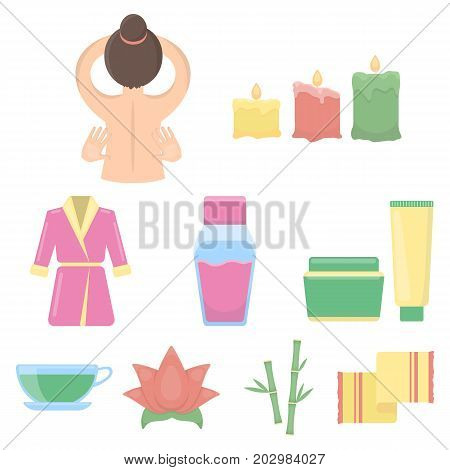 Spa set icons in cartoon style. Big collection of spa vector symbol stock