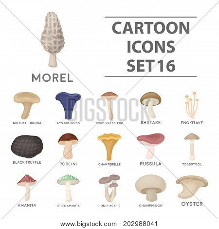 Mushroom set icons in cartoon style. Big collection of mushroom vector symbol.