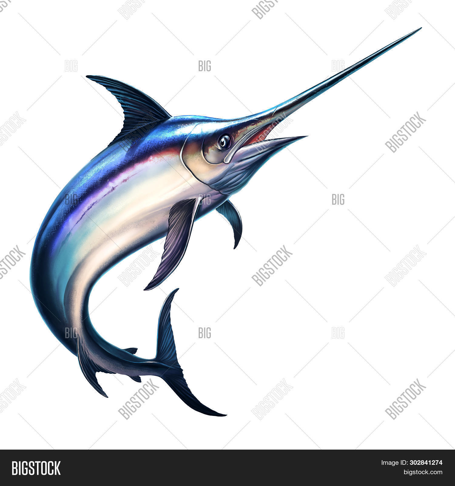 Fish Sword On White Image & Photo (Free Trial) Bigstock