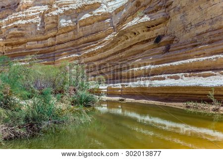 Spring in Israel. Creek Zin flows through the canyon Ein Avdat in the Negev desert. The canyon slopes are reflected in the water. The concept of ecological, photo and active tourism