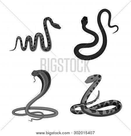 Vector Design Of Harm And Bite Logo. Set Of Harm And Reptile Stock Symbol For Web.