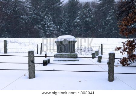 Snowy Grave