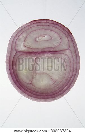 Cross Section Slice Of Red Onion Against Light Background On Backligts
