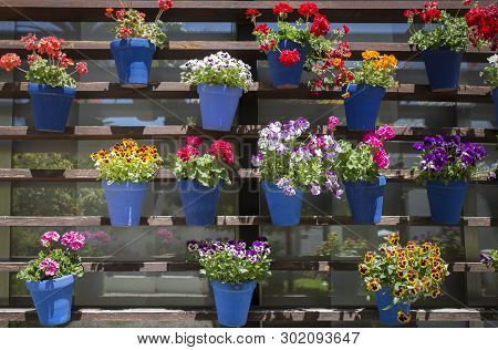Vertical Garden Full Of Geranium Flower Pots. Modern And Traditional Andalusian Style