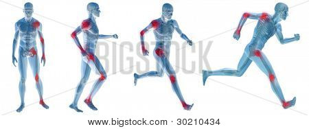 Koncepce s vysokým rozlišením nebo konceptuální běloch modré anatomie ilustrace na zeleném pozadí pro mě