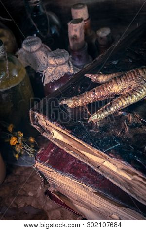 A Witchery Stuff: Multiple Tincture Bottles, Bunches Of Dry Healthy Herbs, Stack Of Ancient Ritual B