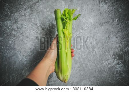Fresh Green Celery Holding In Hand On The White And Gray Background.