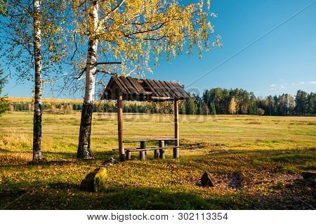 Arbor With Benches Near The Field, Under A Birch With Yellow Leaves And Under The Blue Sky, Mari El,