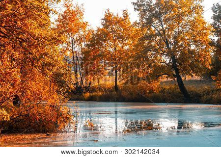 Autumn At The Forest River In Sunny Day