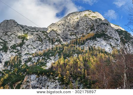 View Of Mount Skuta In Autumn. Northern Slovenia