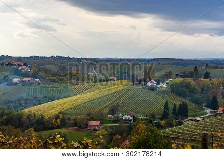 Beautiful Vineyards Landscape Of Jeruzalem On Slovene Hills In Ljutomer. Northeastern Slovenia