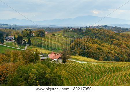 Beautiful Vineyards Landscape Of Jeruzalem On Slovene Hills In Ljutomer. Northeastern Slovenia