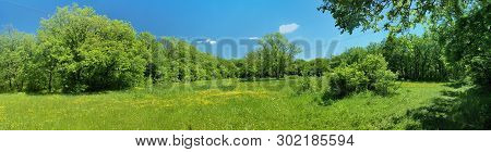 Panorama Of A Green Meadow, A Suburb Of Novomoskovsk, Ukraine
