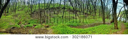 Panorama Of A Green Meadow, A Suburb Of Novomoskovsk, Ukraine