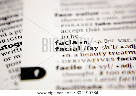 Word Or Phrase Facia In A Dictionary.